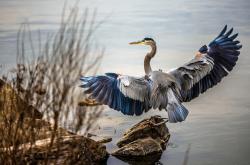 开云体育登录-厄德高关键一击，贝蒂斯惊天翻盘南非