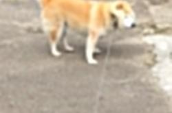 开云体育官网-速度与巅峰，F1揭幕战之夜，拉文展现极致的个人竞技美学