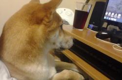 开云体育中国-米切尔，不只是关键先生，更是魔术的定海神针