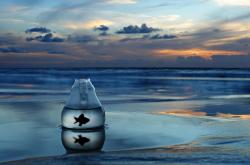 开云体育-银箭苏醒，楚阿梅尼在揭幕战之夜执掌方程式权杖