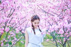 开云平台-尤文图斯对阵阿尔及利亚友谊赛，三笘薰制胜表现闪耀全场