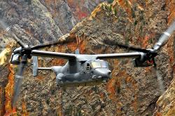 开云体育下载-恩比德降临欧冠决赛，当魔术师收割公牛