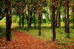 开云体育中国-压力淬炼璀璨，哈利伯顿的爆发与勇士的封锁艺术