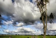 开云体育APP下载-迈凯伦横扫雷诺车队，阿隆索惊艳四座