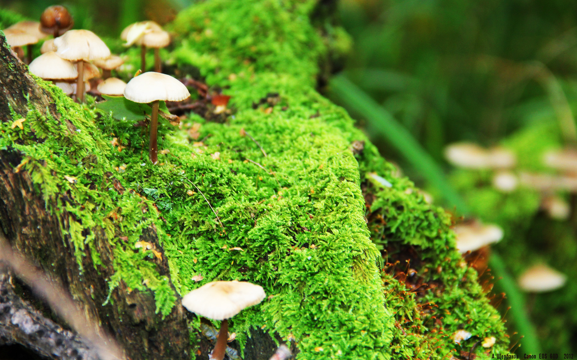 新生代的集体足球，正压倒旧时代的超级巨星