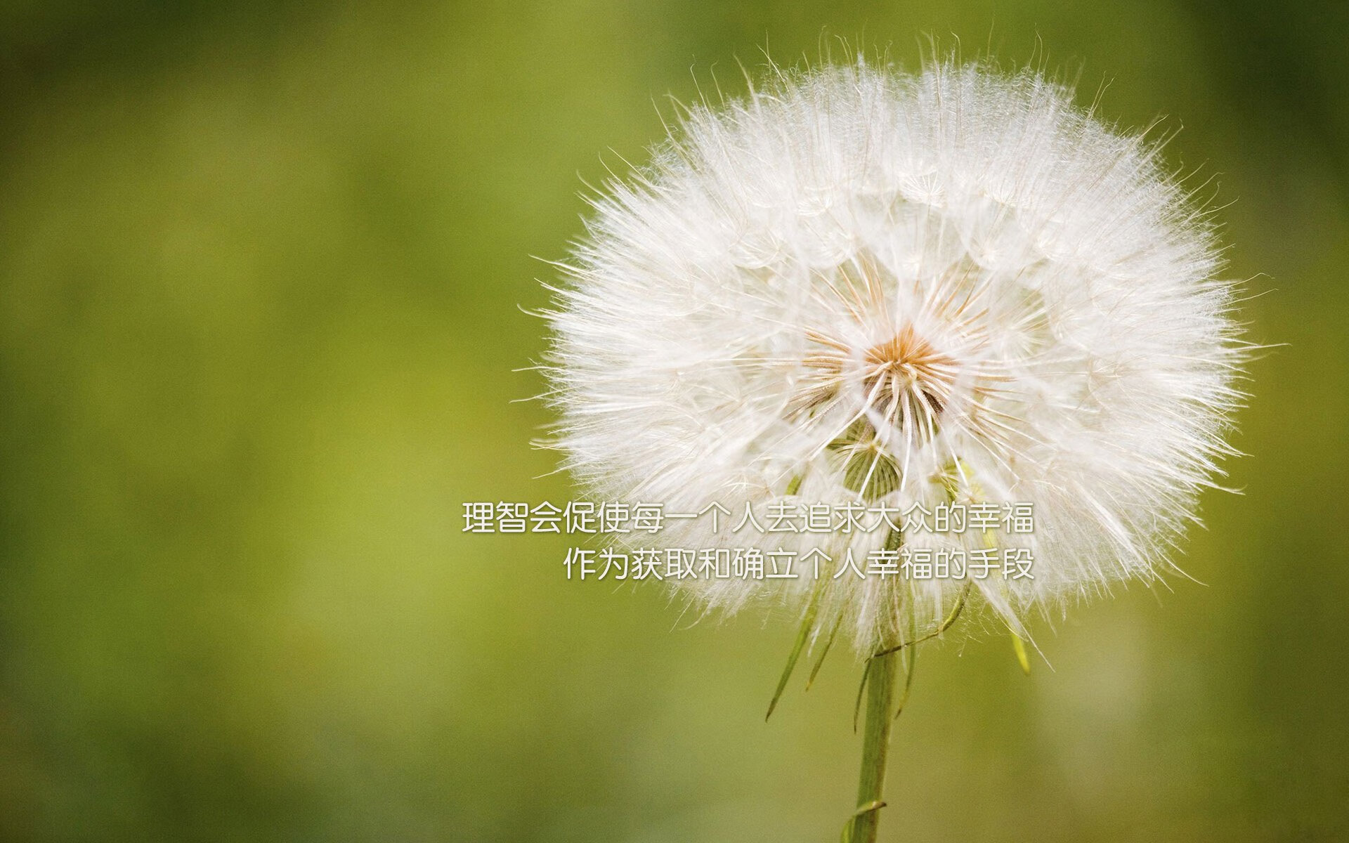 速度与红潮，F1揭幕战与利物浦战术的竞技美学