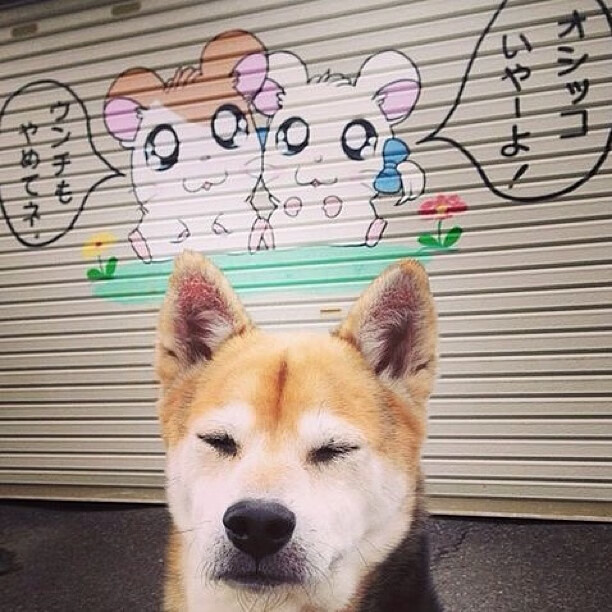 烽火连城，贝蒂斯一役如何搅动英超争冠天平