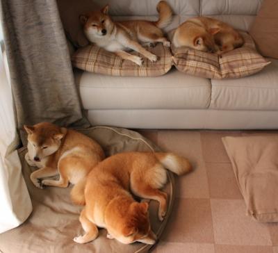 东方勇士遭遇浙江铁军，詹姆斯式大场面先生主宰胜负