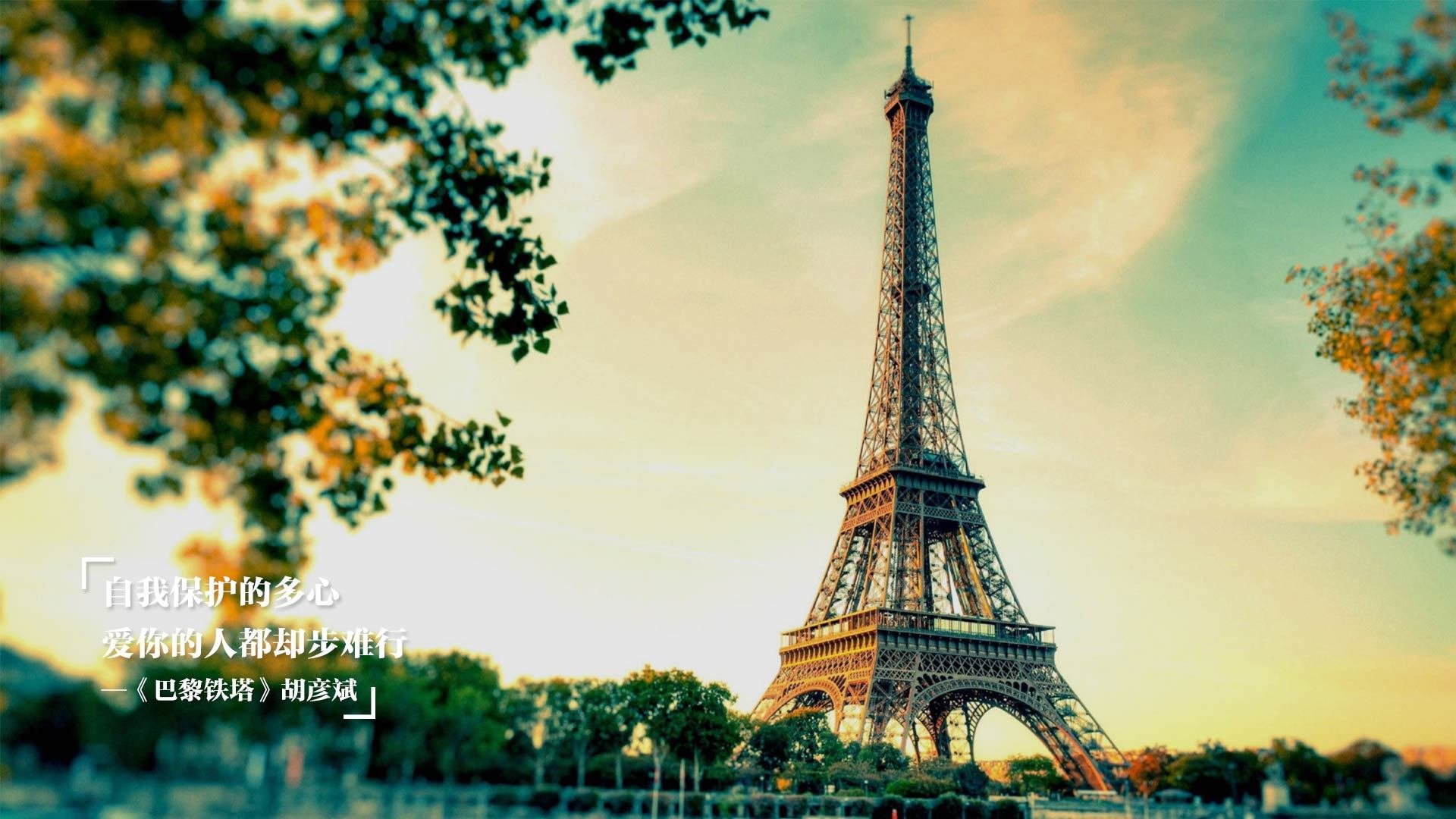 狂轰42分价值连城,福克斯一己之力撕裂吉林,太阳主场高奏凯歌