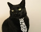 NBA总决赛之夜，当绿茵魔法师在硬木地板上跳起压制之舞