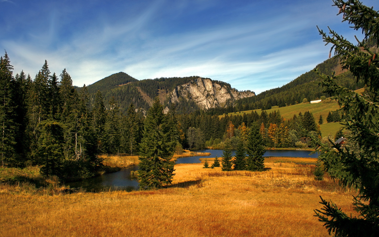 欧洲杯黑马掀翻瑞士,欧冠决赛巴尔韦德成为真正掌控者