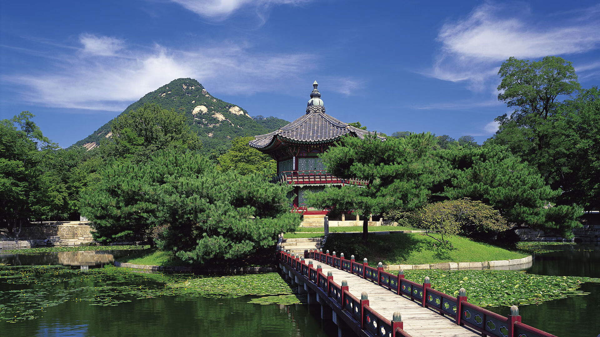 荷兰风暴席卷皇家社会,维尼修斯一锤定音成皇马关键先生