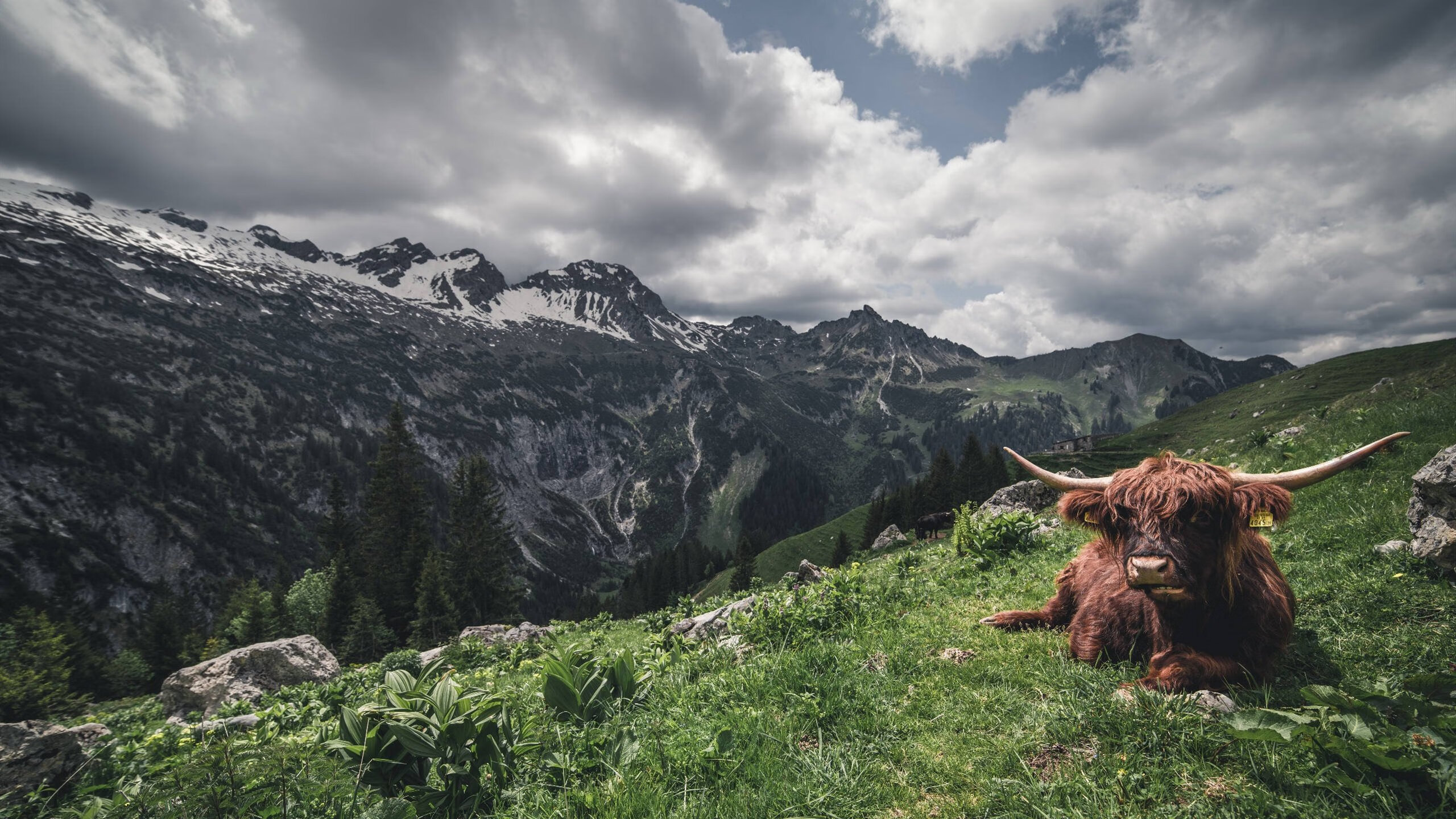 欧冠决赛之夜,西亚卡姆用实力铭刻传奇