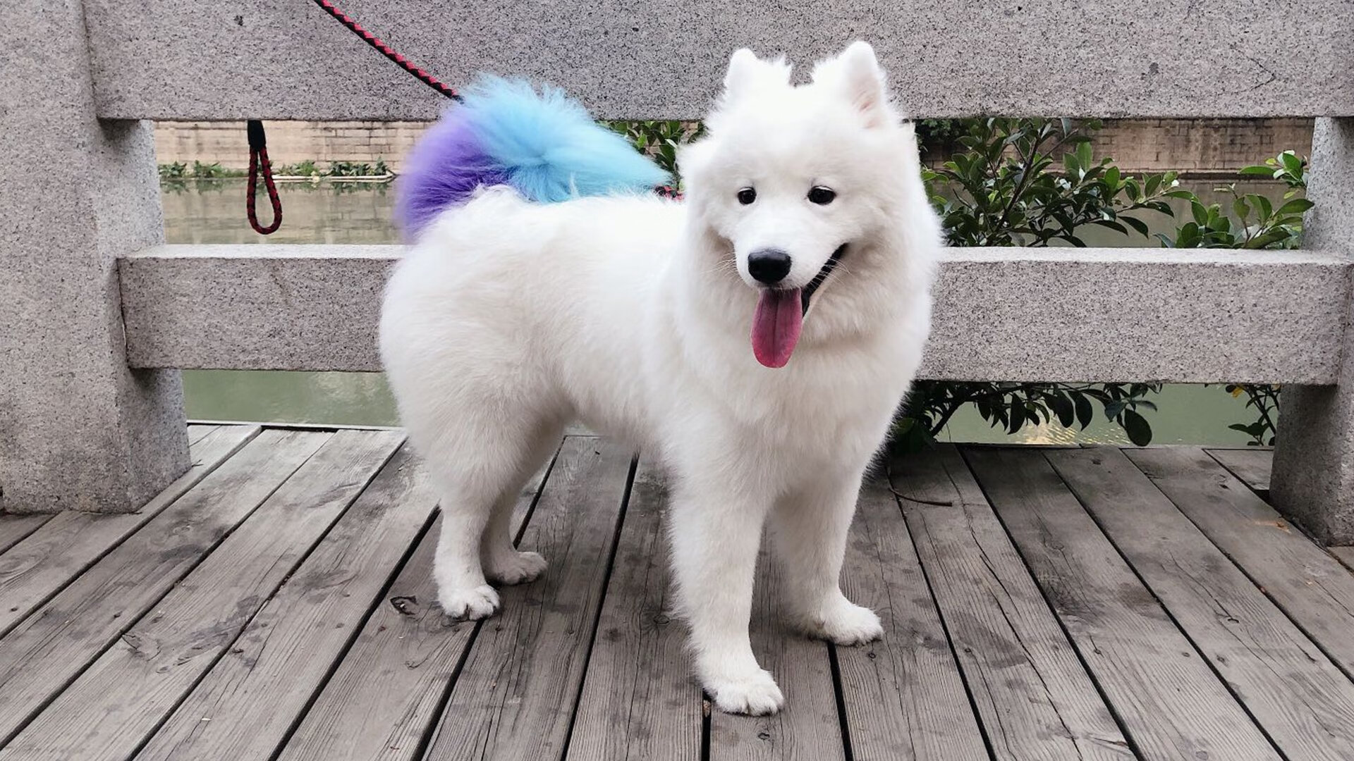 乔治末节封神，广厦一波流击溃森林狼，打出团队篮球极限美学