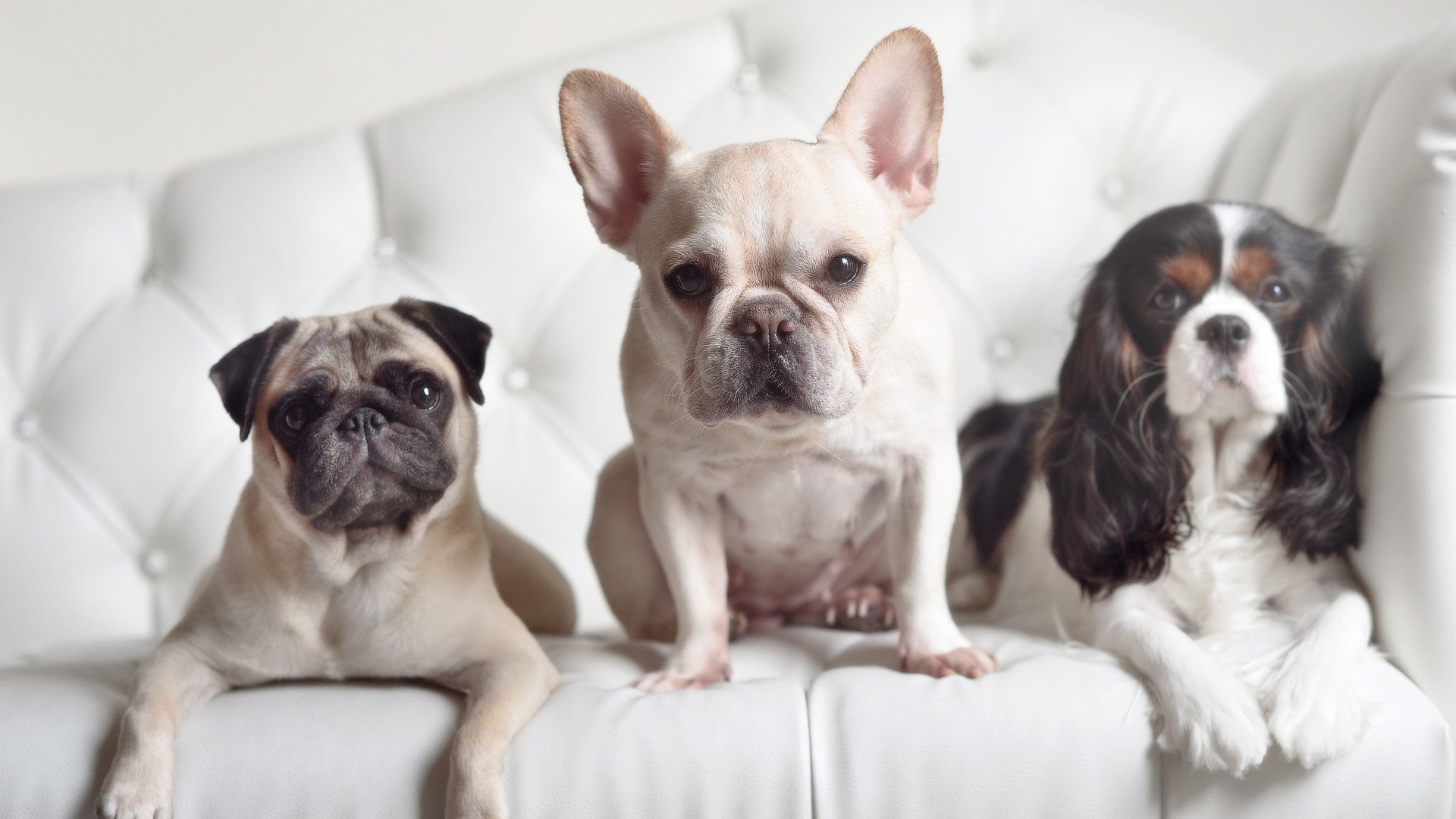 F1新赛季揭幕战之夜，苏亚雷斯的表现，堪称一本赛道教科书