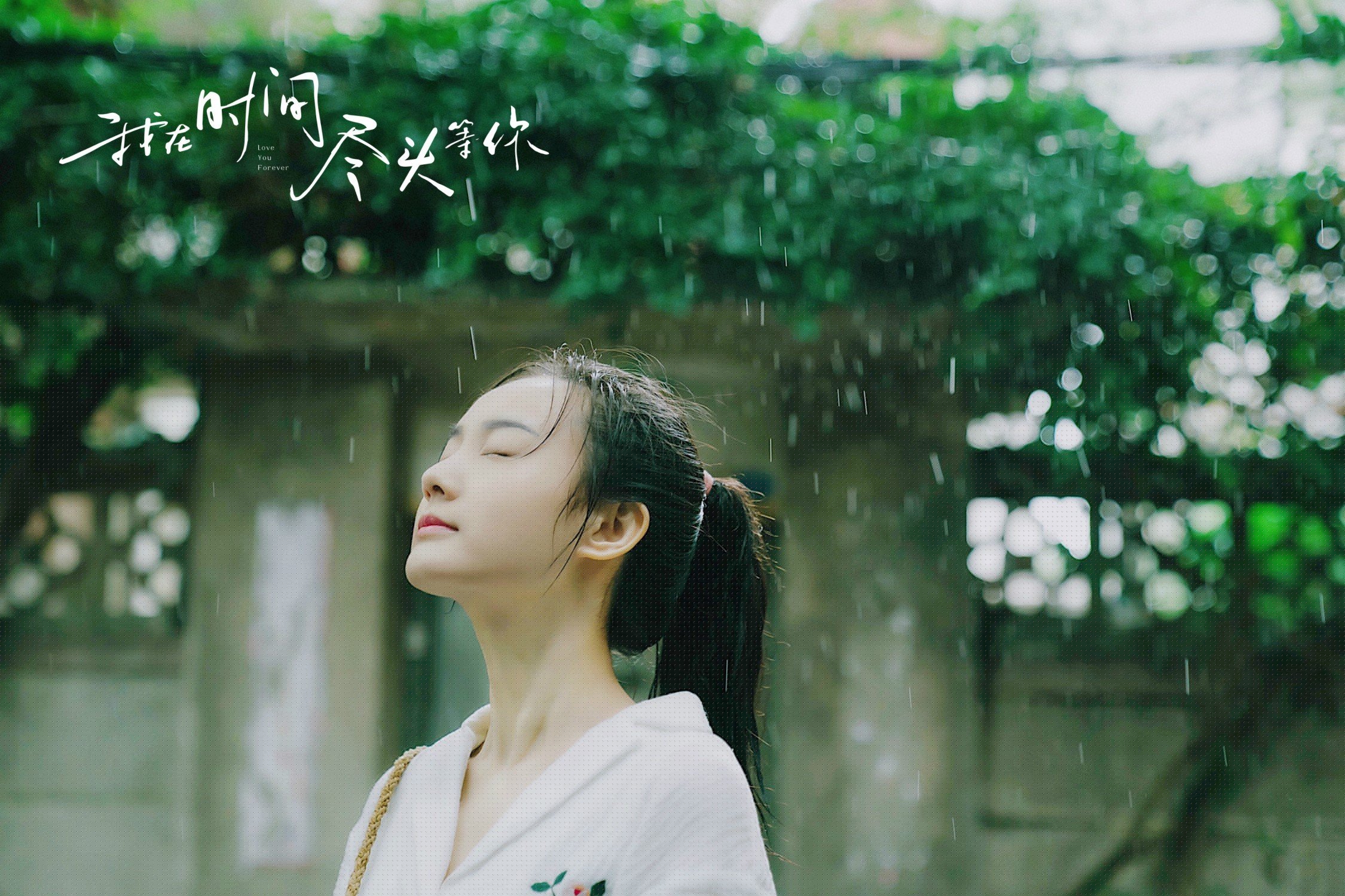 绝杀之夜，范弗利特与公牛的双重奏鸣