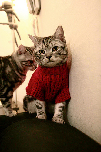 德甲争冠夜悬一线,当本泽马无声改写终章