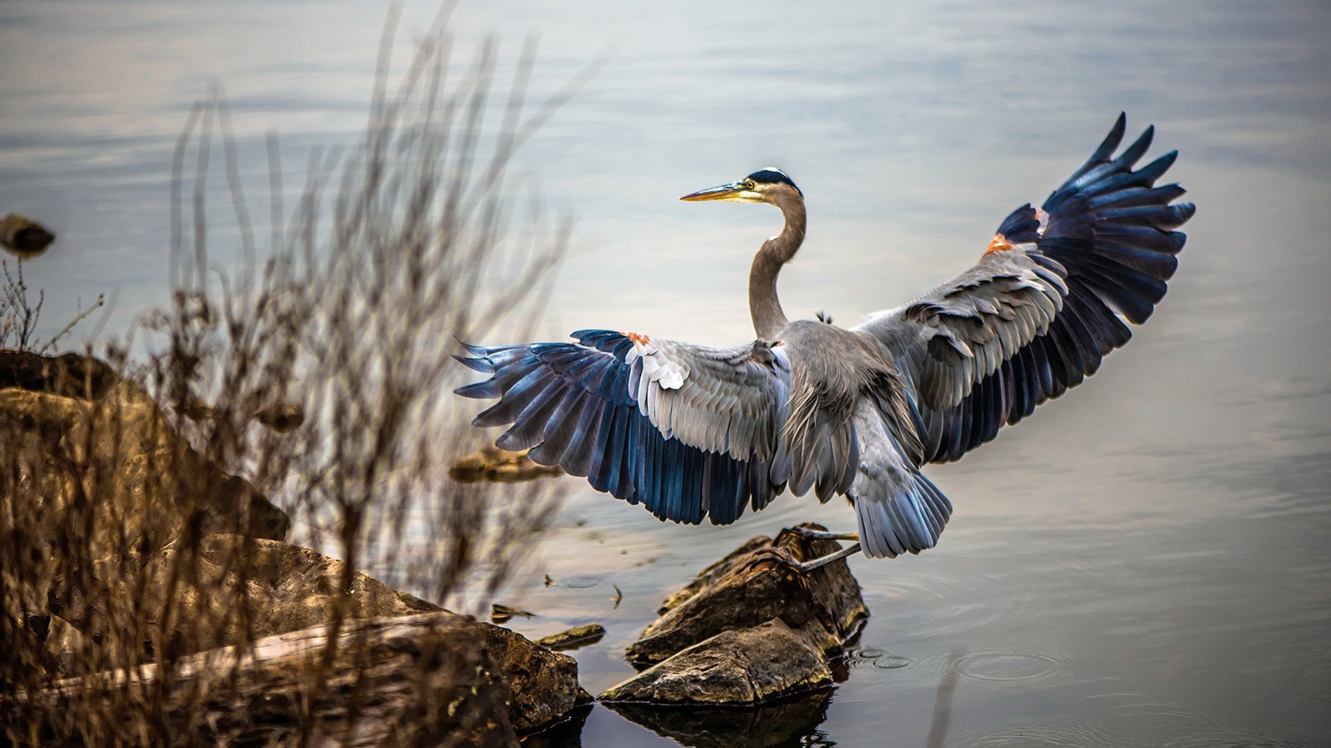 罗德里点燃赛场!巴拉圭窒息式防守强行终结智利黄金一代