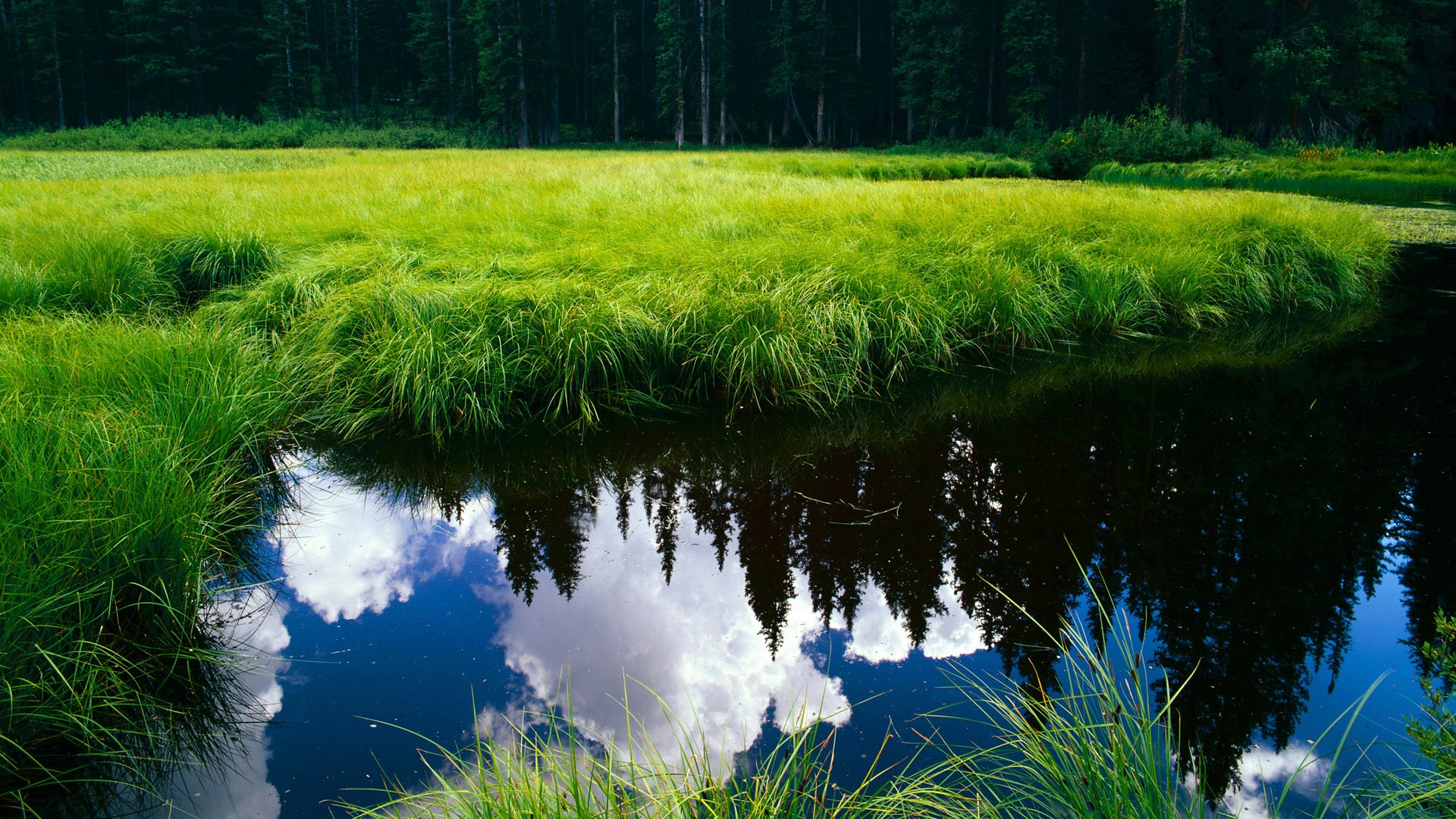 篮球关键时刻的王者,凯尔特人力克新疆,伦纳德西决生死战定乾坤