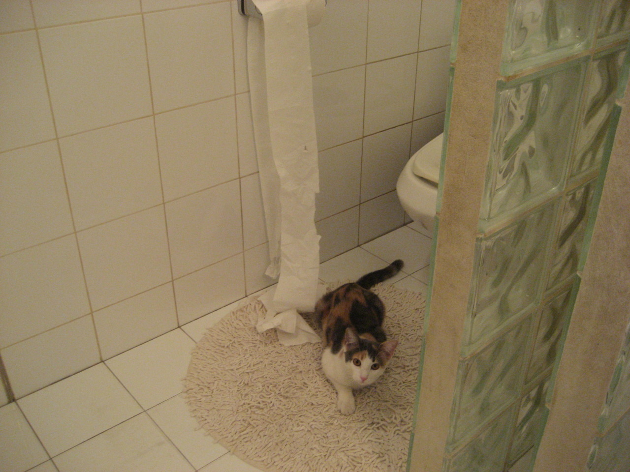 日本冲垮乌拉圭，巴尔韦德逆境中扛起复兴大旗